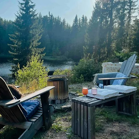 Charming Old Forest An Hour From Oslo Vortungen