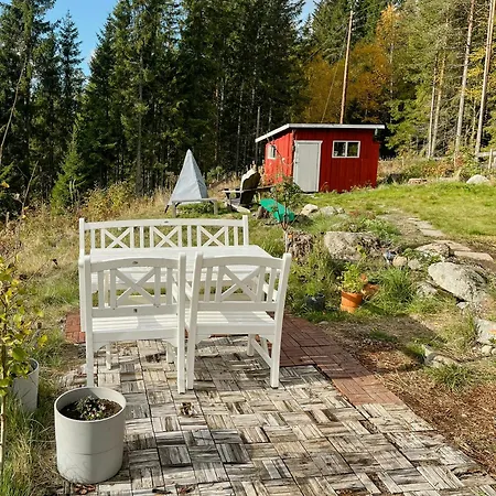 Charming Old Forest An Hour From Oslo Vortungen