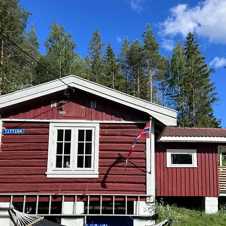 Charming Old Forest An Hour From Oslo * Loken