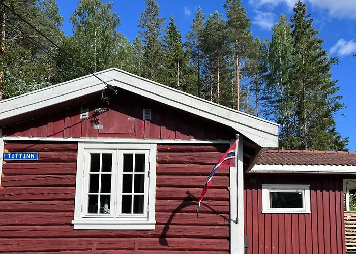 Charming Old Forest An Hour From Oslo * Loken